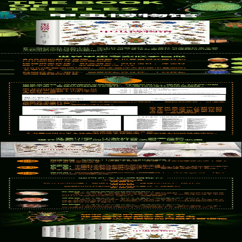 [M]甲虫博物馆-9787301279748