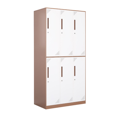 臻远ZY-GYGC-10拆装更衣柜窄边储物柜 咖白套色六门
