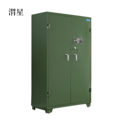渭星双门存放柜置物柜常规款