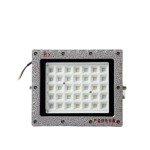 浙冠荣 GRDF97-100W 免维护LED防爆泛光灯250×210mm