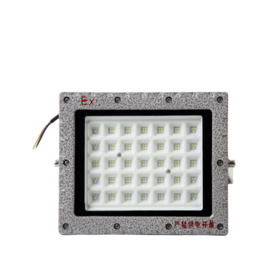 浙冠荣 GRDF97-100W 免维护LED防爆泛光灯250×210mm