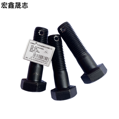 宏鑫晟志 外六角发黑螺丝 打孔可定制 M16*80 单位:个