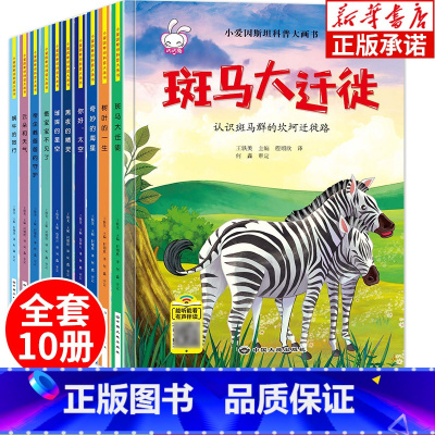 [双语科普]小爱因斯坦大画书 全10册 [正版]精装硬壳幼儿绘本阅读幼儿园绘本3-5-6岁 情绪管理与性格培养绘本宝宝故