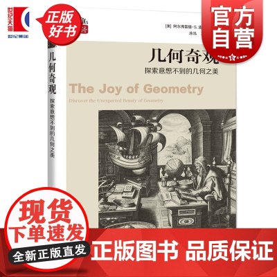 几何奇观:探索意想不到的几何之美 数学桥第三辑 阿尔弗雷德S波萨门蒂著上海科技教育出版社自然科学数学丛书