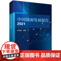 中国能源发展报告2021科学出版社