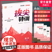 2024秋 拔尖特训 语文 人教版 部编版 四年级上 4上 同步提优训练专项练习一课一练 同步教辅 必刷题 通成学典天天