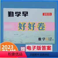 好好卷 八下数学 初中通用 [正版]2023勤学早好好卷七八九年级数学物理化学上册人教版RJ789年级数理化全册初一二三