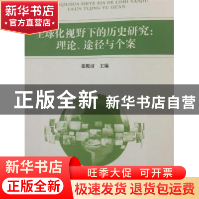 正版 全球化视野下的历史研究:理论、途径与个案 张殿清 河北大学