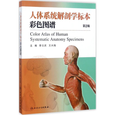 [M]人体系统解剖学标本彩色图谱-9787117241465