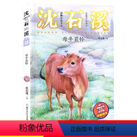 [13]母牛蓝铃 [正版]狼王梦注音版沈石溪动物小说系列注音读本斑羚飞渡第七条猎狗 一二三四年级小学生课外阅读书籍6-9