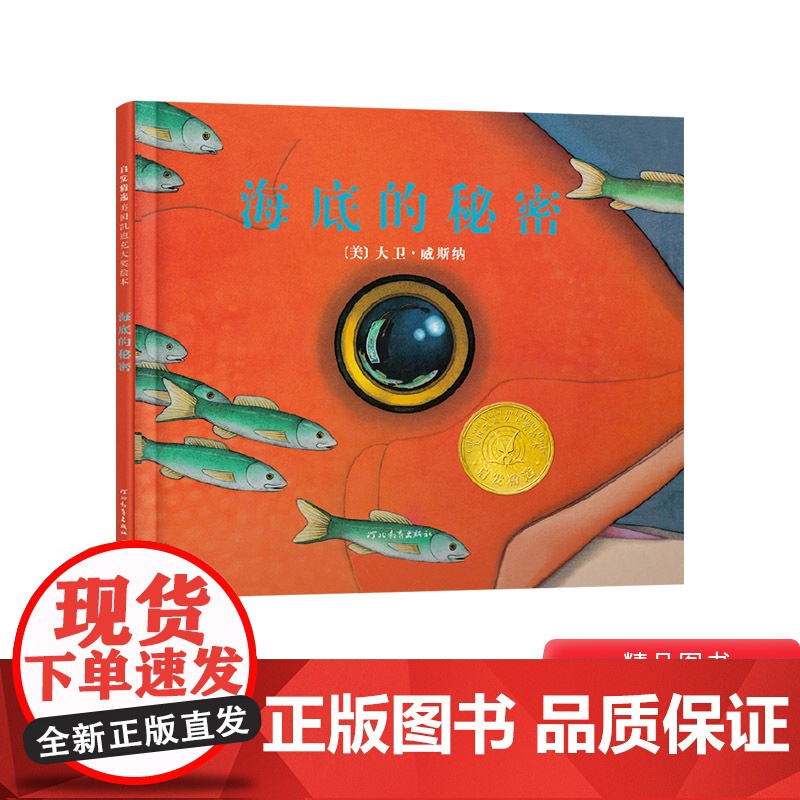 海底的秘密硬壳精装图画书启发美国凯迪克大奖绘本大卫威斯纳作品无字书4岁5岁6岁7岁8岁想象力传递友谊正版童书