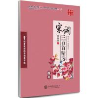 正版新书]宋词三百首精选(楷书)田英章9787313105783
