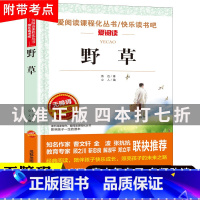 野草 [正版]野草 鲁迅散文诗集 快乐读书吧爱阅读课程化丛书无障碍精读版中小学生课外阅读书籍