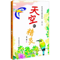 天空的精灵 一分钟了解一飞鸟 精品工程/绿色环保 3-12岁超文艺儿童科普文学!