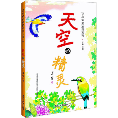 天空的精灵 一分钟了解一飞鸟 精品工程/绿色环保 3-12岁超文艺儿童科普文学!