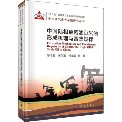 醉染图书中国陆相致密油页岩油形成机理与富集规律9787030582140