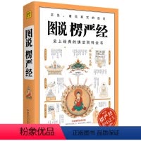 [正版]图说楞严经 经典佛法百科全书图解版 正法代表作品 哲学教育人生哲理图说搭楞严经经书浅释义贯讲记