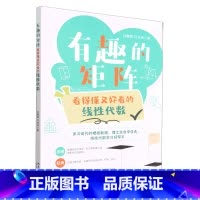 [正版]有趣的矩阵(看得懂又好看的线性代数)