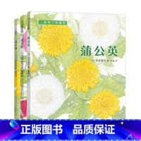 [蒲公英+牵牛花+向日葵3册]一粒种子的旅程 [正版]一粒种子的旅程 蒲公英牵牛花向日葵全3册 精装绘本儿童绘本幼儿园3