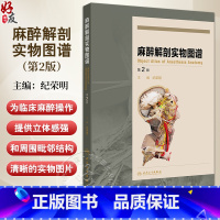 麻醉解剖实物图谱第2版 头颈部阻滞麻醉应用解剖 上肢神经阻滞麻醉解剖 肋间隙内结构 主编 纪荣明 人民卫生 [正版]麻醉