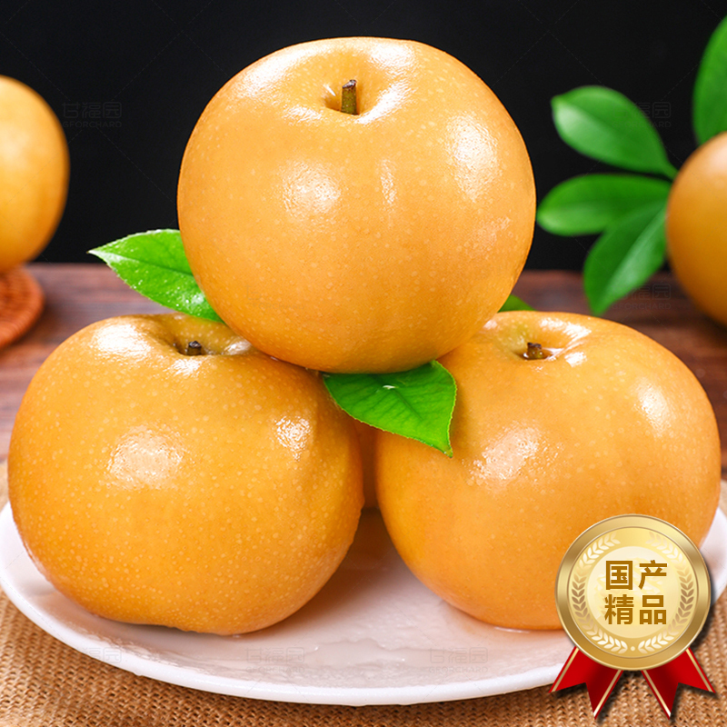 [西沛生鲜]新鲜山东秋月梨 净重4.5斤 特大果 3-4个 新鲜当季水果 现摘现发
