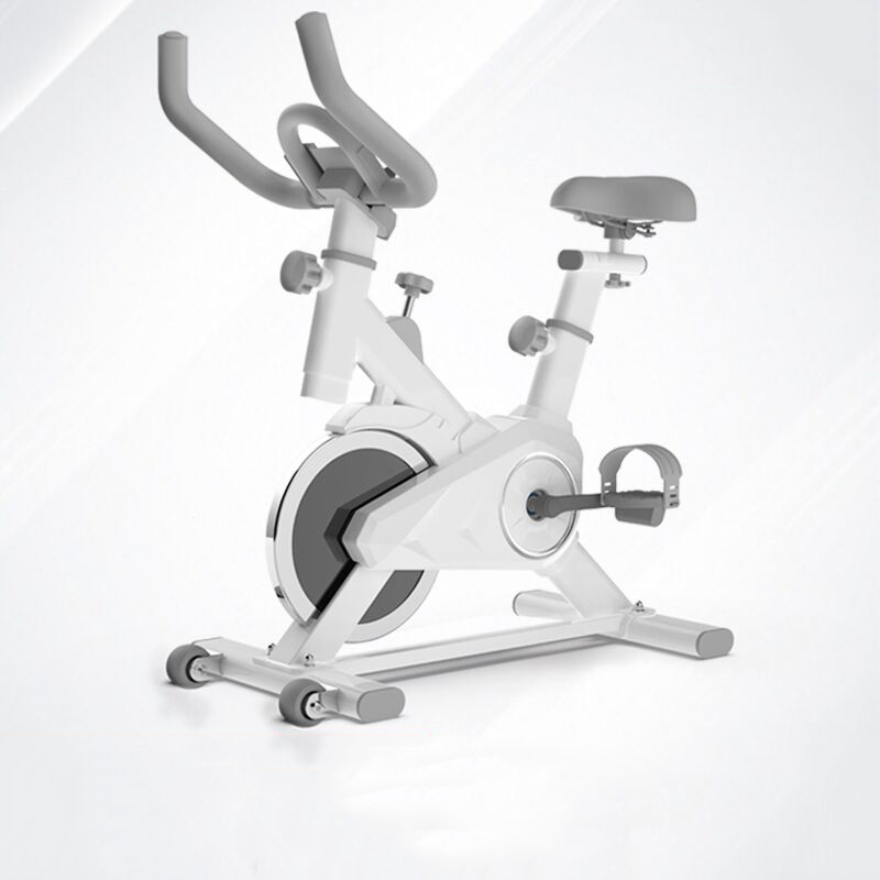 磁控动感单车家用款小型室内健身车闪电客阻力调节健身锻炼器材