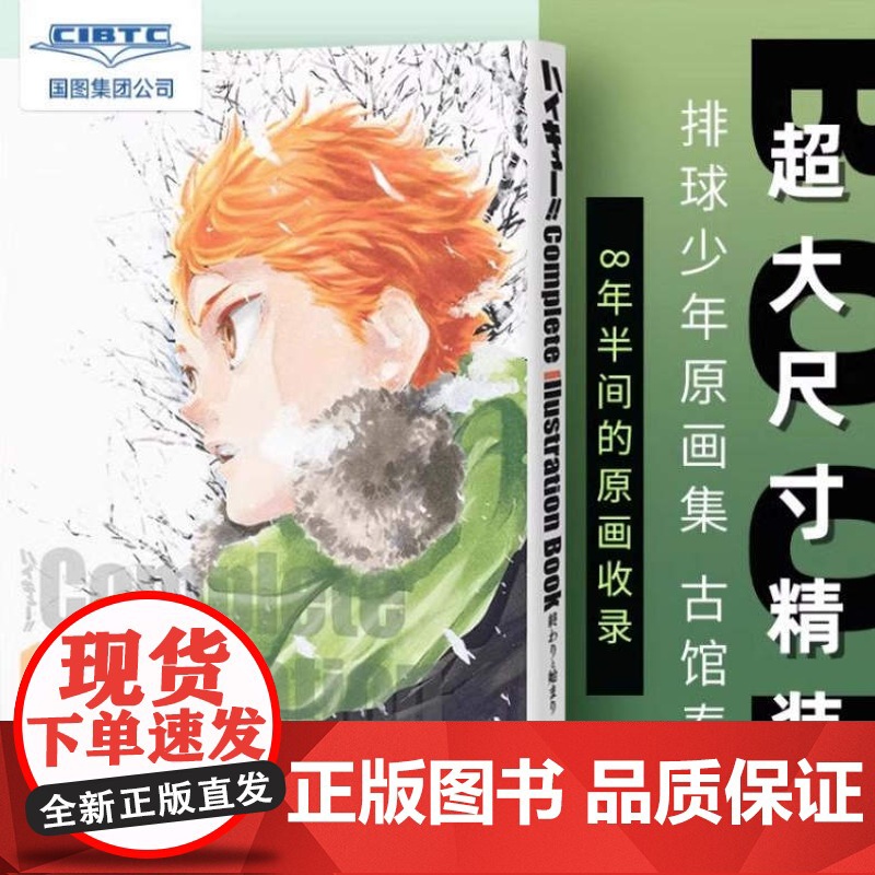 排球少年原画集 COMPLETE ILLUSTRATION BOOK 结束与开始大开本日本漫画原画集简体中文版 收录连载