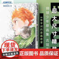 排球少年原画集 COMPLETE ILLUSTRATION BOOK 结束与开始大开本日本漫画原画集简体中文版 收录连载