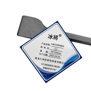 冰将 电锤尖扁凿子大扁方四坑镐尖工具 个