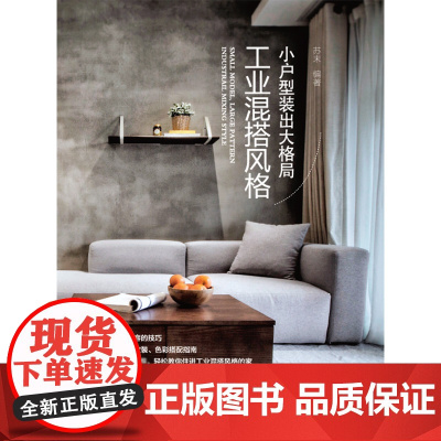 小户型装出大格局 工业混搭风格