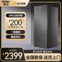 海尔(Haier)立式无霜冰柜一级能效电脑温控全温区冷藏冷冻保鲜立式冷冻柜BD-180WGHS9