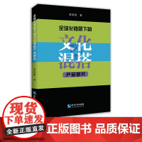 全球化背景下的文化混搭产品研究 聂春艳 知识产权出版社