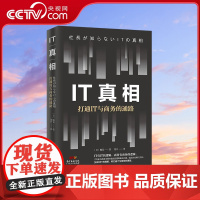 [央视网]IT真相 打通IT与商务的通路 IT行业企业管理必备 让IT与商务衔接更加紧密 楠真 著 GD