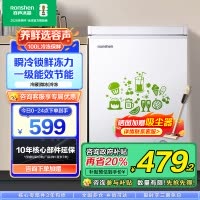 容声(Ronshen)100升顶开门小型冰柜 一级能效 母婴家用冷藏冷冻转换节能单温 国补 (白)BD/BC-100MB
