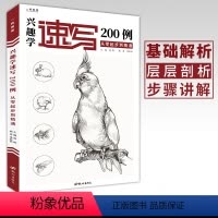 [正版]兴趣学速写200例 速写动物画册书籍临摹本零基础入门自学速写纯手绘画基础技法训练范本美术初学者教程书 桑海新编