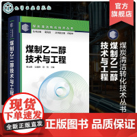 煤制乙二醇技术与工程 煤炭清洁转化技术丛书 中国煤制乙二醇技术和工程图景 煤制乙二醇技术发展现状 煤制乙二醇工艺系统设计