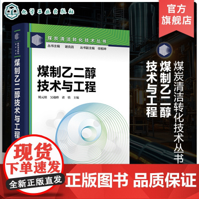 煤制乙二醇技术与工程 煤炭清洁转化技术丛书 中国煤制乙二醇技术和工程图景 煤制乙二醇技术发展现状 煤制乙二醇工艺系统设计