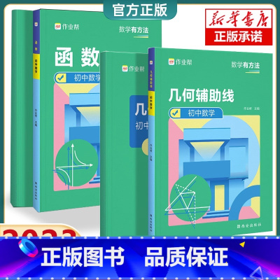 2册:几何辅助线+初中函数 初中通用 [正版]2024新版 初中数学48个几何模型名师有大招思维训练辅助线专项训练函数专