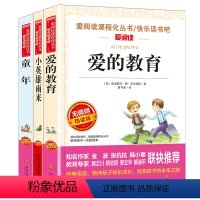 快乐读书吧六上阅读 小学通用 [正版]快乐读书吧 爱的教育小英雄雨来童年六年级上册的课外书高尔基原著全套 快乐读书吧六年