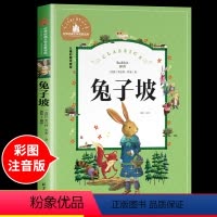 兔子坡 [正版]爱丽丝漫游奇境记梦游仙境书注音版 适合小学生一年级二年级三四六下册阅读课外书必读儿童故事书6-8-10岁
