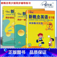 [入门级B]一课一练+同步语法+同步练习 小学通用 [正版]子金传媒新概念英语青少版同步练全入门级A+B测试卷阶段巩