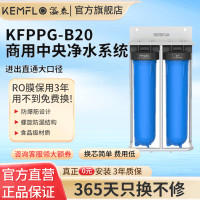 康富乐KEMFLO 商用中央净水系统 前置过滤器双级KFPPG-B20台