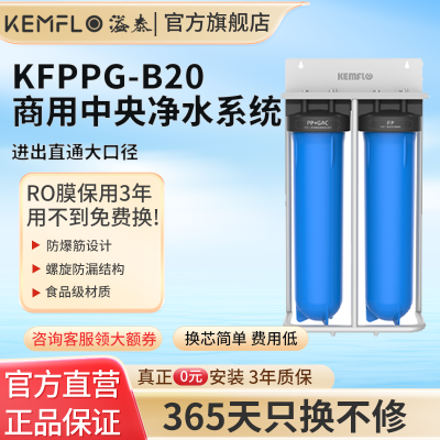 康富乐KEMFLO 商用中央净水系统 前置过滤器双级KFPPG-B20台