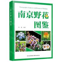 [N]南京野花图鉴-9787553332116