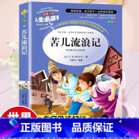[单本]苦儿流浪记 [正版]福尔摩斯探案全集彩图小学生版 五年级阅读课外书柳林风声 名师草原上的小木屋语文基础阅读配套丛