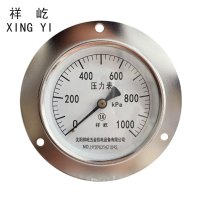 祥屹 压力表轴向带边检测定制型 Y100ZT 块