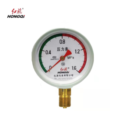 红旗 储气罐专用压力表定制检测款Y100 1.6MPA(其他压力值需备注) 块