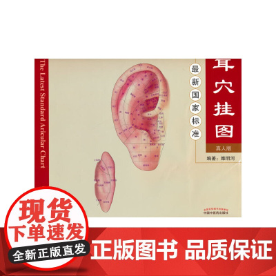国家标准耳穴挂图(真人版) 中医 中国中医药出版社 正版书籍