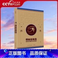 [正版]央视网寻秘古埃及 勇闯法老之国的艺术家与探险家 埃及古代史 古埃及考古实录 500张手绘图 超丰富史料文字 科