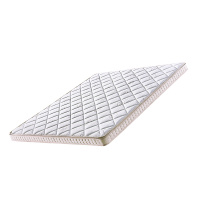 臻远 ZY3120209 棕垫 3E椰棕床垫 2000*2200*150